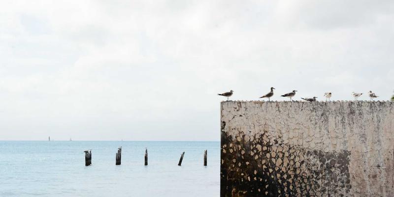 “宅经济”新浪潮：巧用二手家电与旧物置换，打造集健身、直播、养宠于一体的梦想复合空间