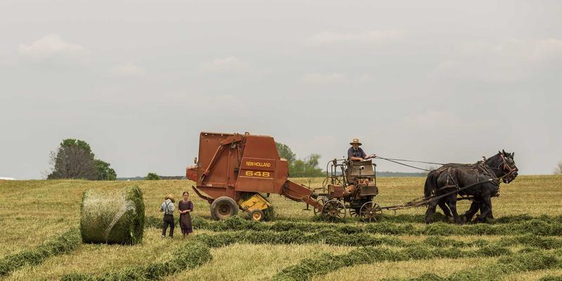 爱换居新篇章:在家居置换中,如何与承载记忆的旧物温柔告别