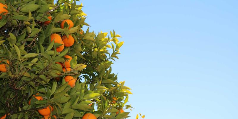 爱换居时代:巧妙混搭中古家具,让复古风高级不显旧