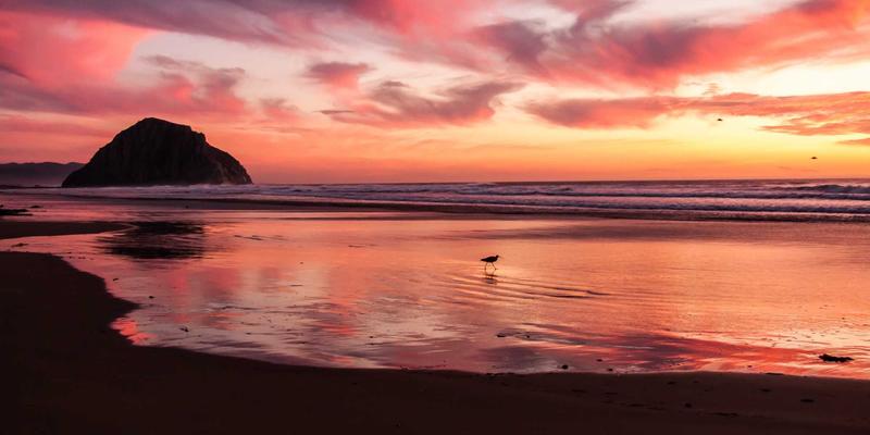 算一笔绿色经济账：系统性家居置换，能为地球“减负”多少？